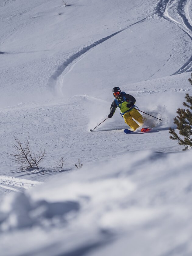 Skifahrer geniesst gesicherte Freeride-Abfahrtsroute auf unberührter Schneedecke. | © Davos Klosters Mountains
