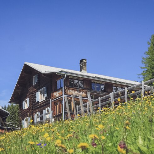 Summer alpine panorama at the Spina restaurant in Davos. | © Davos Klosters Mountains