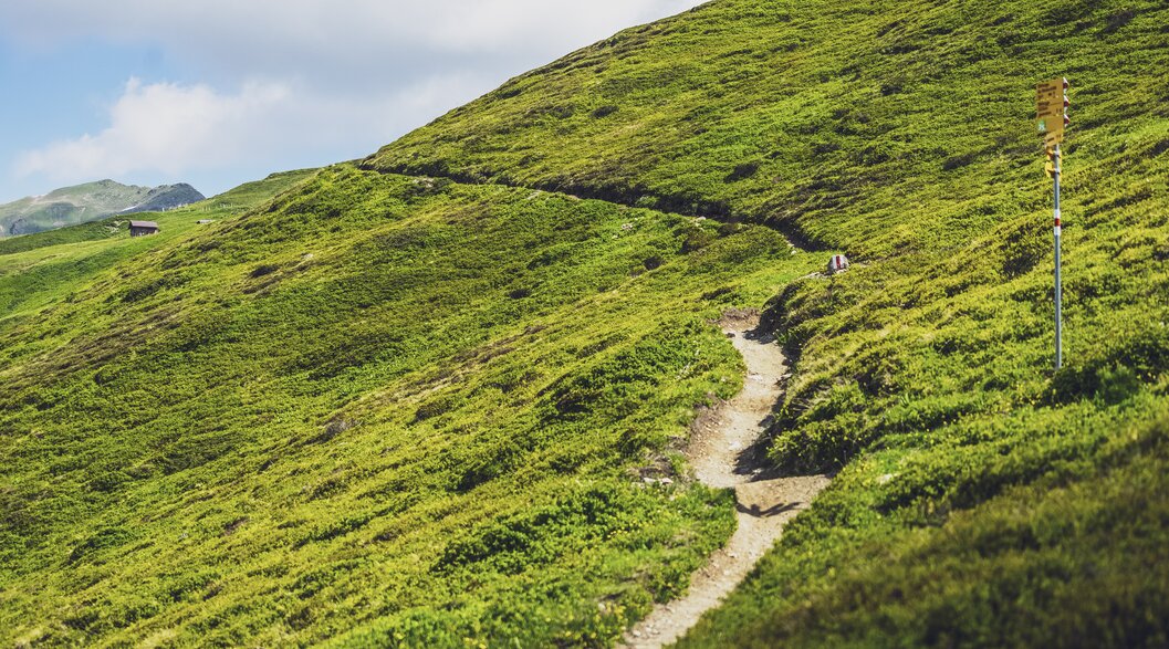 Der Wanderweg schlängelt sich den grünen Hang hinab, trifft beim gelben Wanderschild auf eine Abzweigung und führt schliesslich ins Sertigtal. | © Davos Klosters Mountains